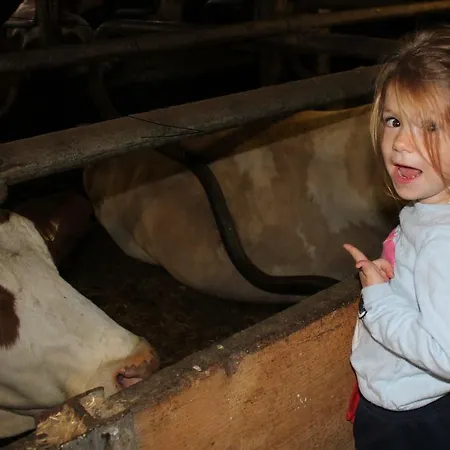 דירה Stuibenfallblick *