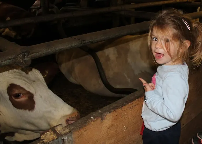 شقة Stuibenfallblick *